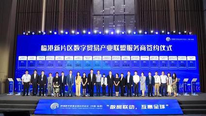 對接DEPA關系協定，推動數字經濟開放發展——“數貿聯動，互惠全球”跨境數字貿易全球伙伴會議在臨港成功舉辦